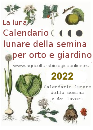 Calendario lunare della semina 2022