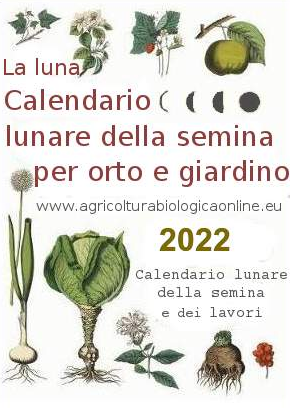Calendario Lunare della semina per orto