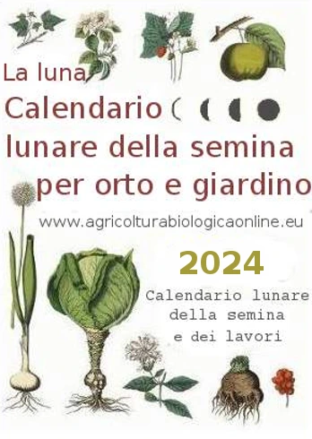 2024 - Calendario lunare della semina per orto e giardino
